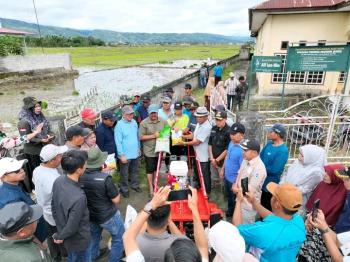Bupati Monadi Tanam Padi Bersama Warga Kerinci